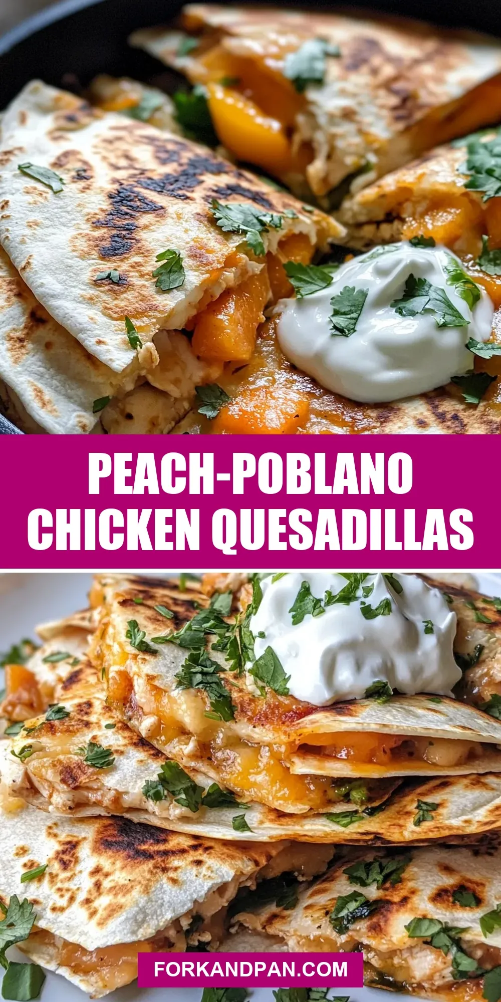 Flavorful Peach-Poblano Chicken Quesadillas