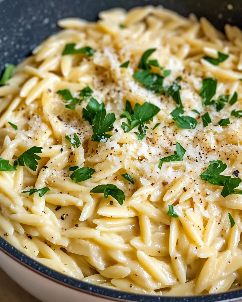 Easy Creamy Garlic Parmesan Orzo food shot