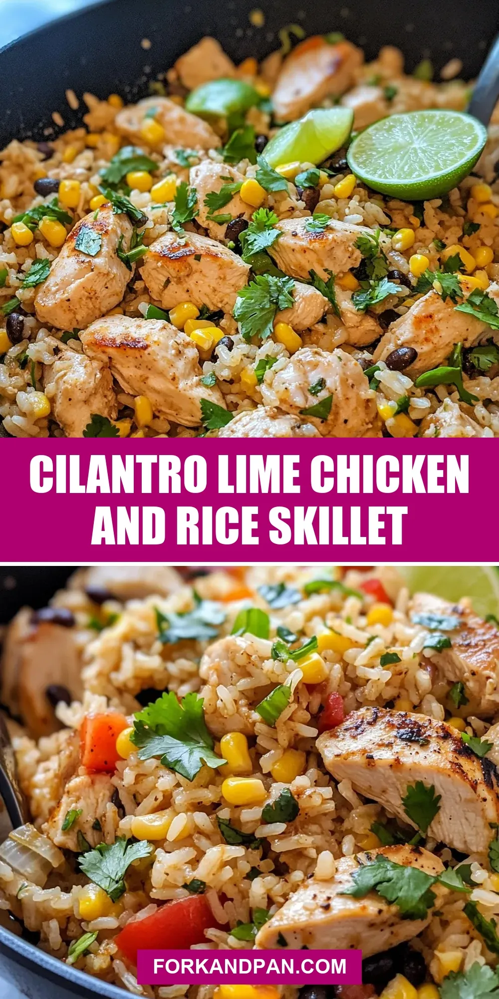 Easy Cilantro Lime Chicken And Rice Skillet Recipe