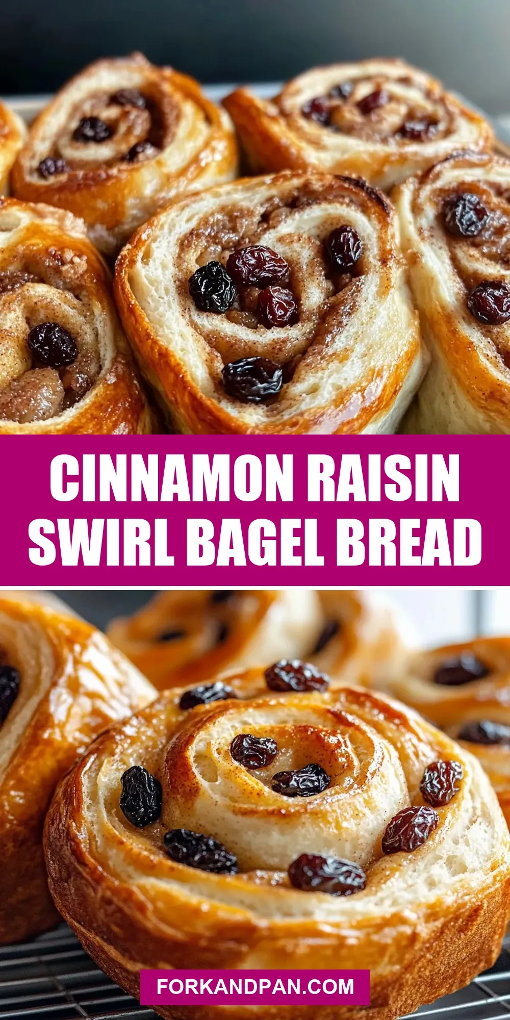 The Best Cinnamon Raisin Swirl Bagel Bread Ever
