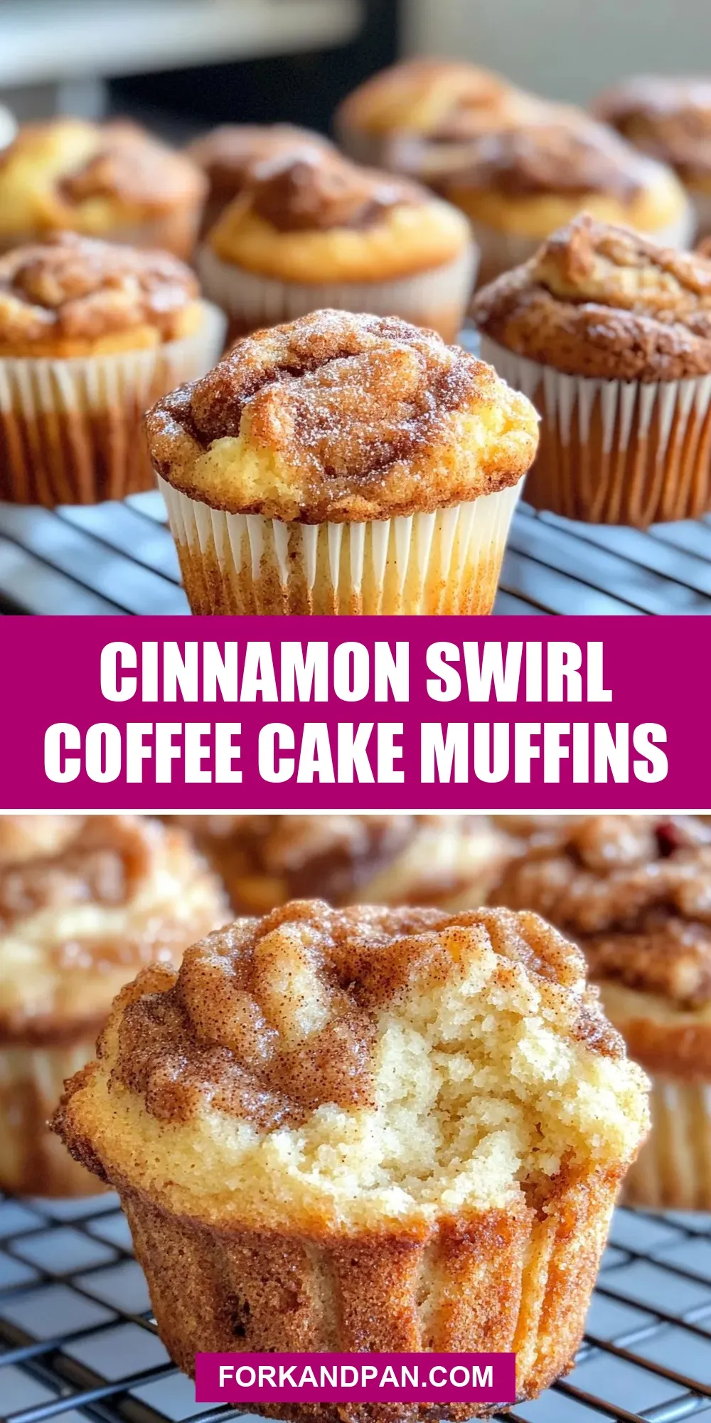 The Best Cinnamon Swirl Coffee Cake Muffins