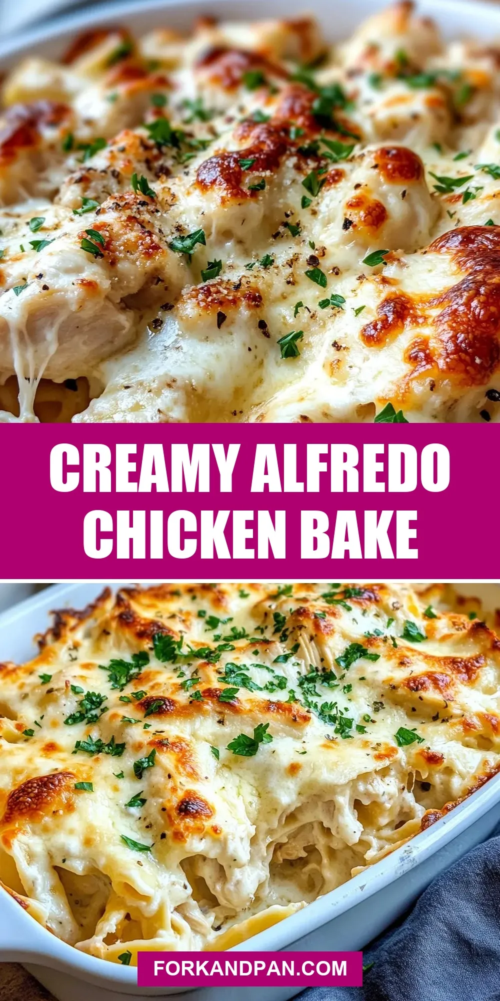 The Best Creamy Alfredo Chicken Bake Ever