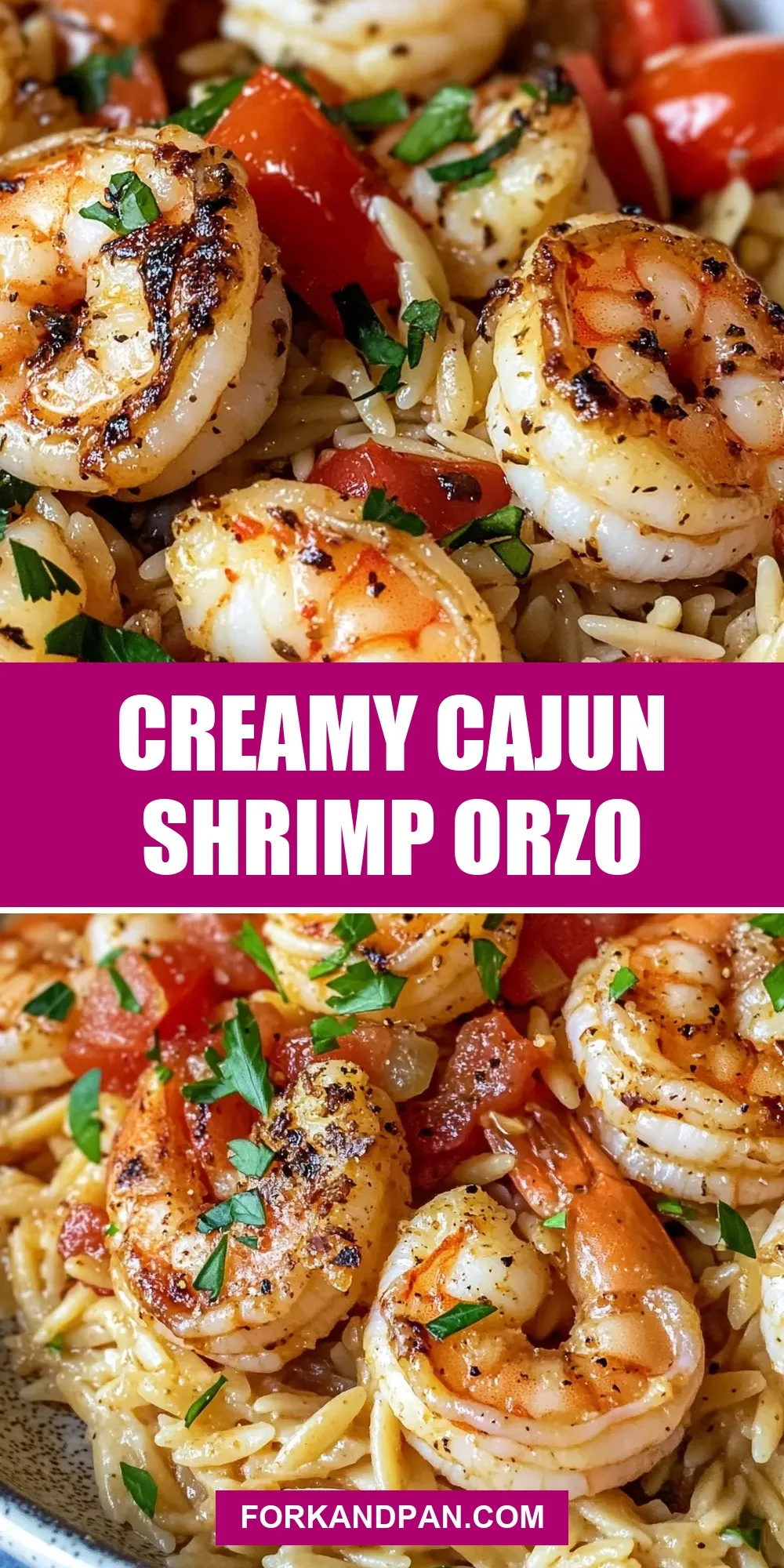 The Best Creamy Cajun Shrimp Orzo Ever