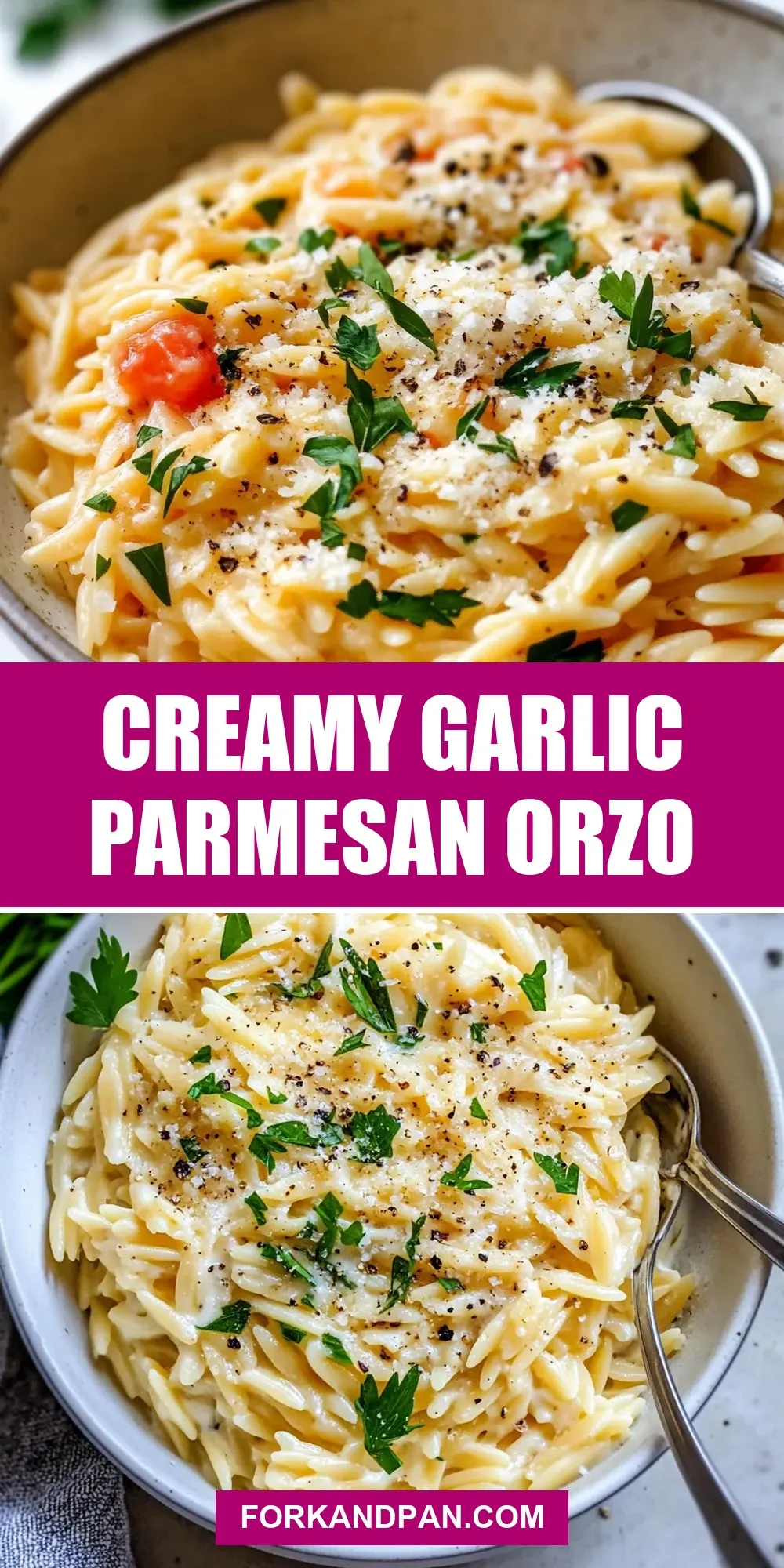 The Best Creamy Garlic Parmesan Orzo Ever