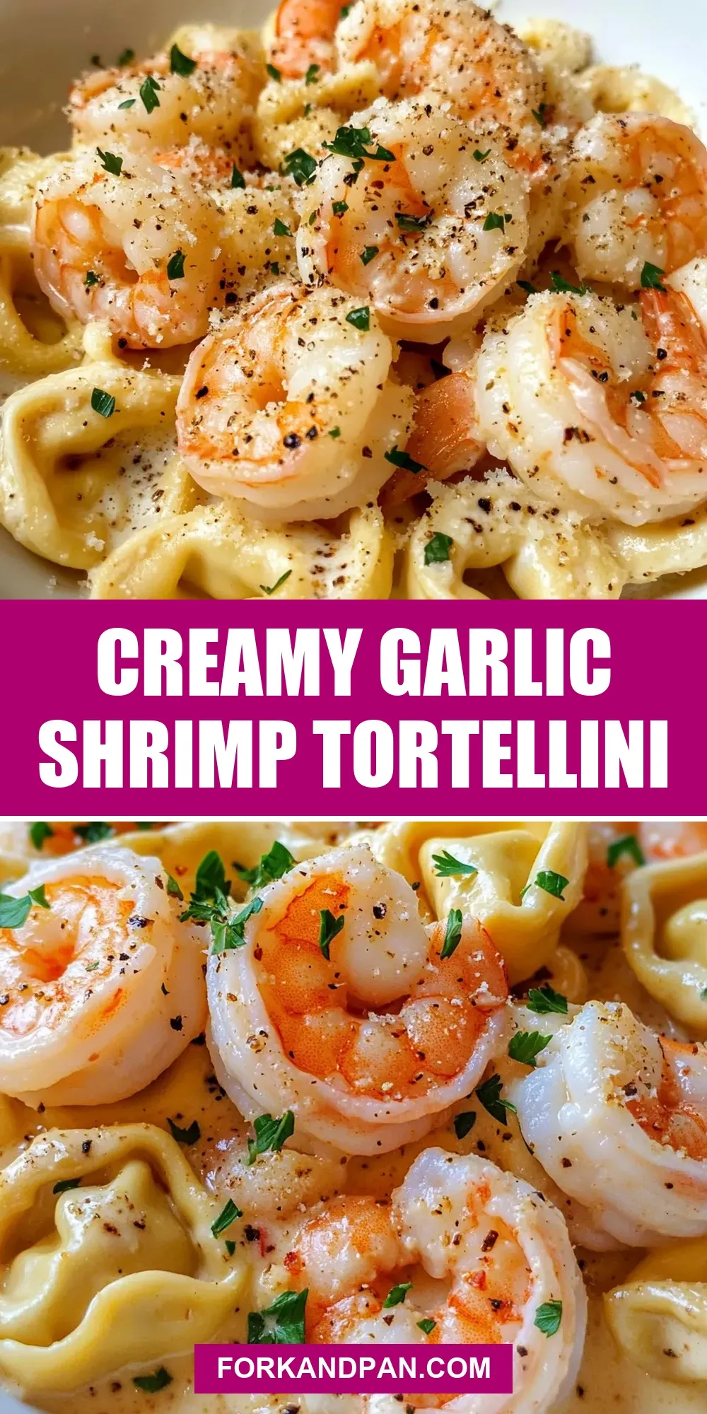 Creamy Garlic Shrimp Tortellini (Flavorful & Delicious)