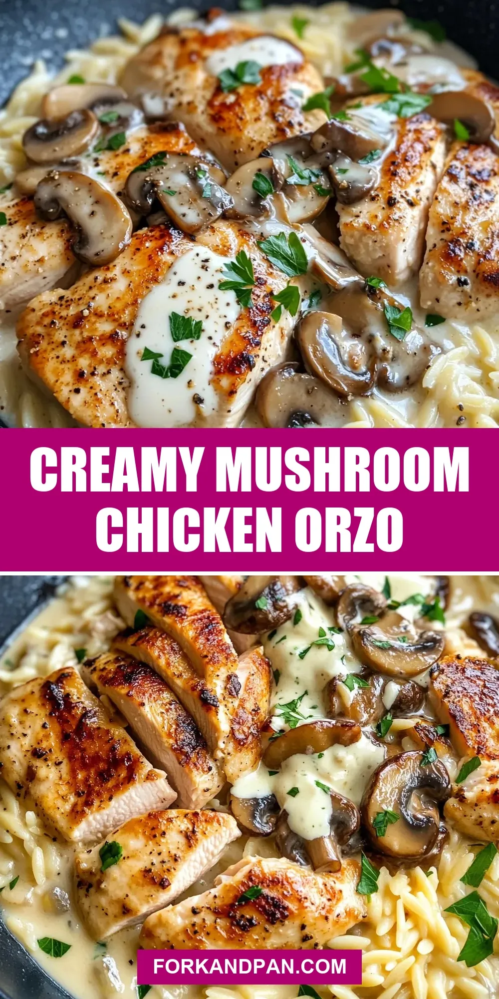 Easy Creamy Mushroom Chicken Orzo Recipe