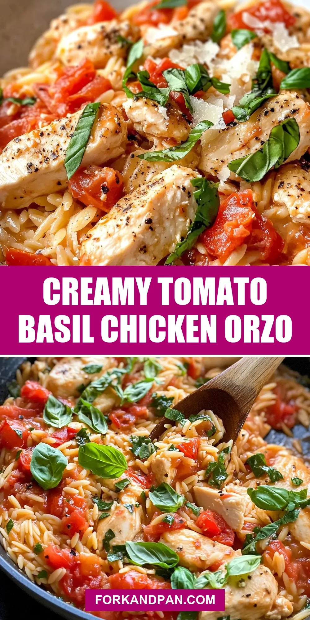 Creamy Tomato Basil Chicken Orzo Recipe