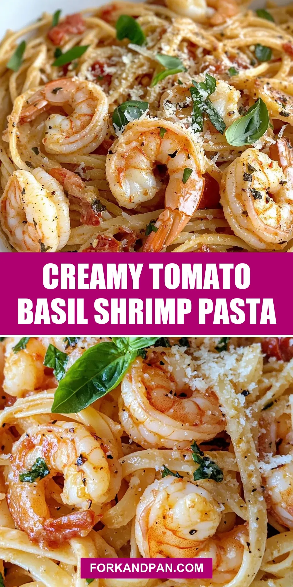 Creamy Tomato Basil Shrimp Pasta Recipe