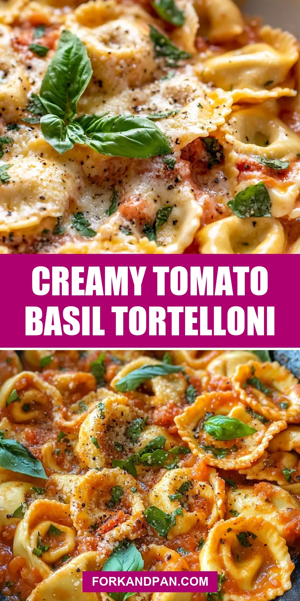 Easy Creamy Tomato Basil Tortelloni Recipe
