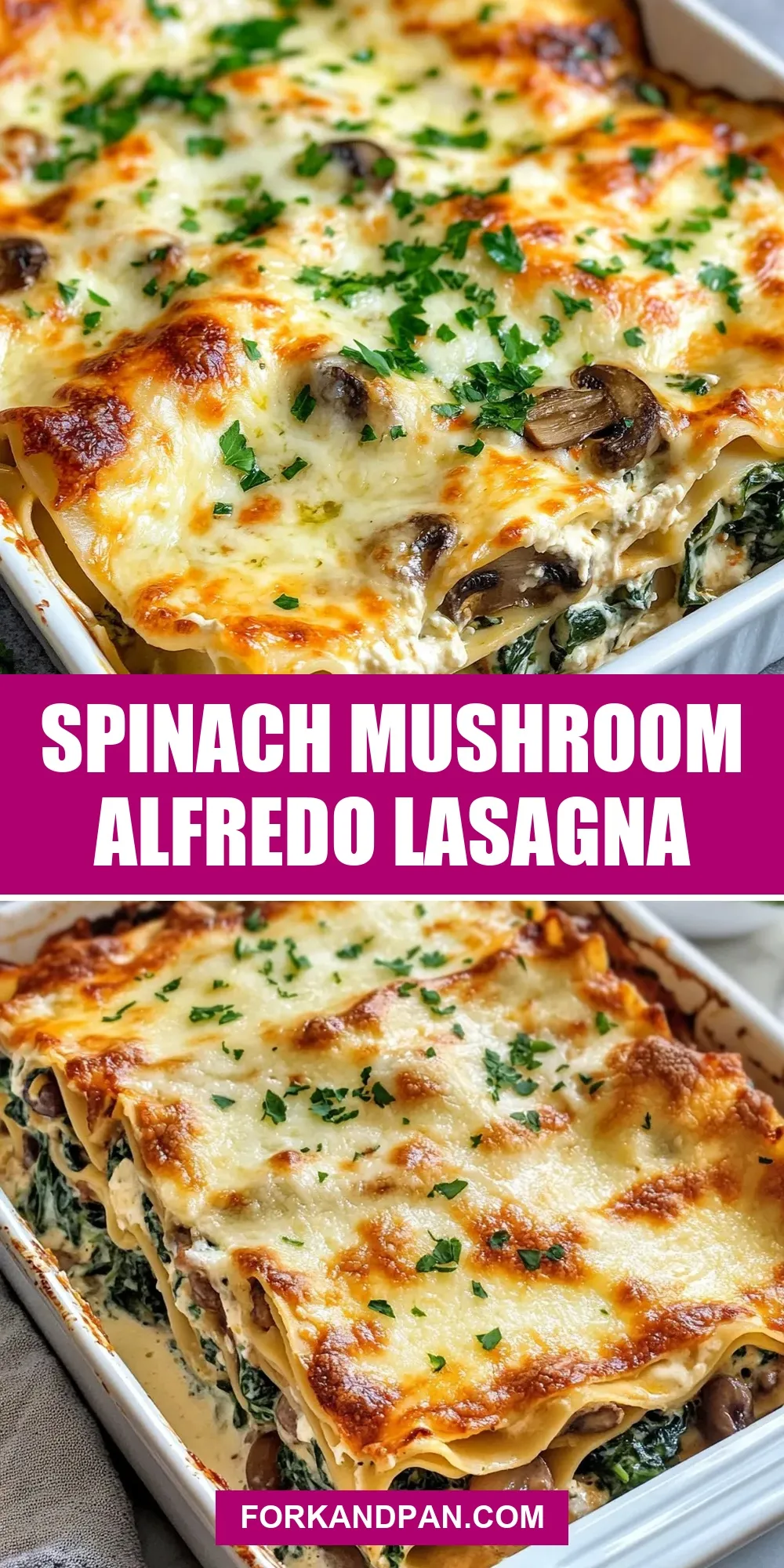 Spinach Mushroom Alfredo Lasagna (Perfect & Delicious)