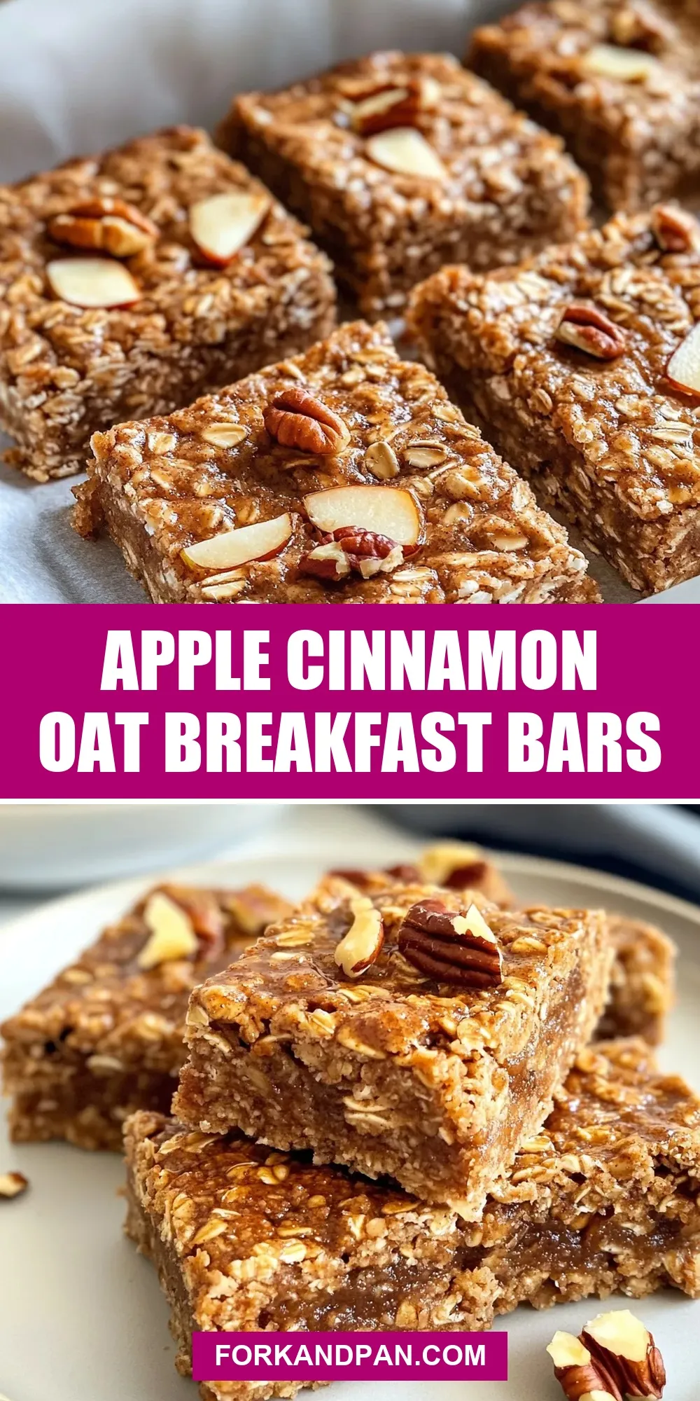 Easy Apple Cinnamon Oat Breakfast Bars Recipe