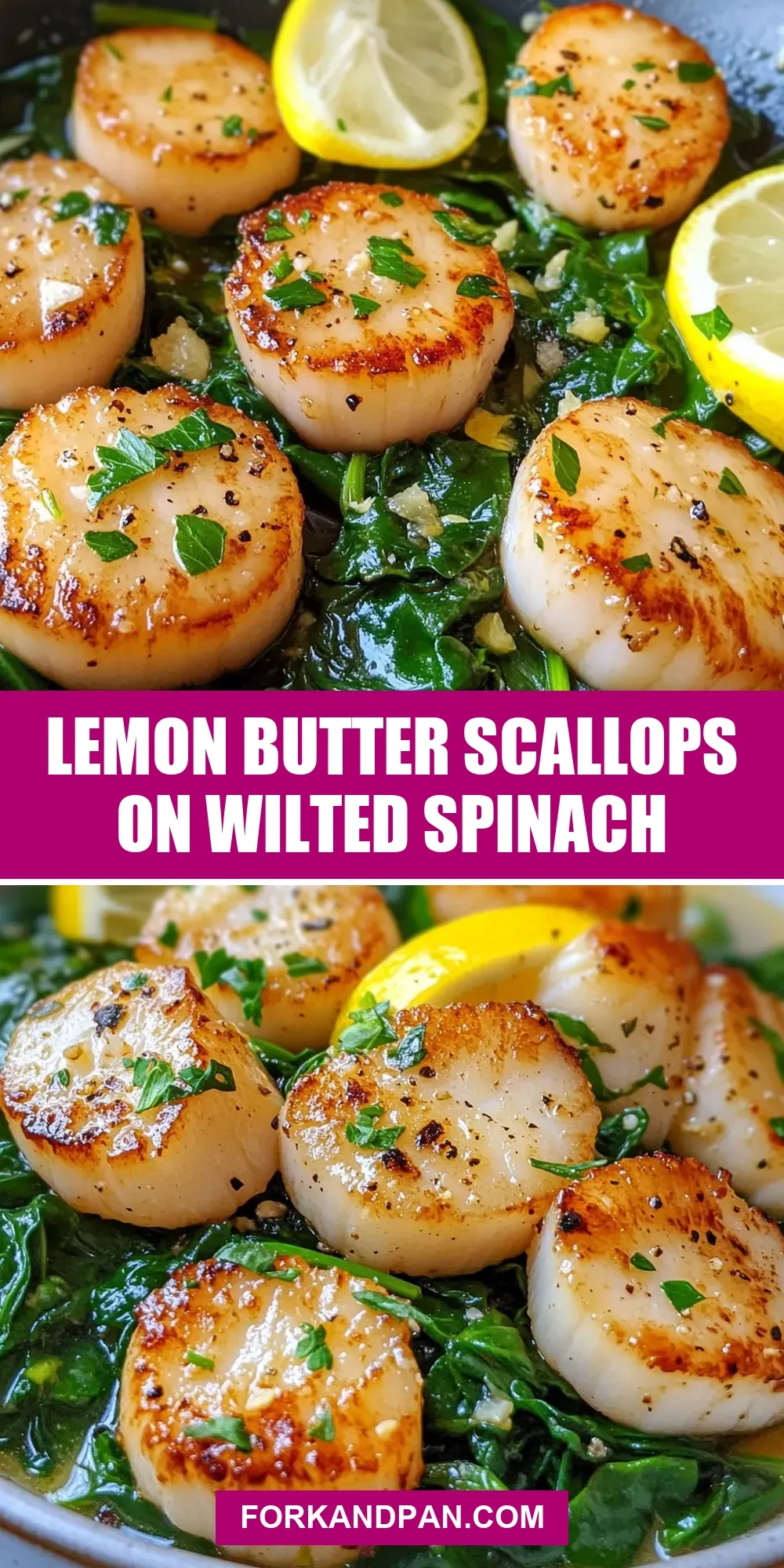 The Best Lemon Butter Scallops On Wilted Spinach Ever