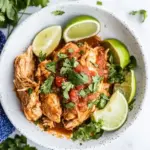 Easy Instant Pot Salsa Chicken photo