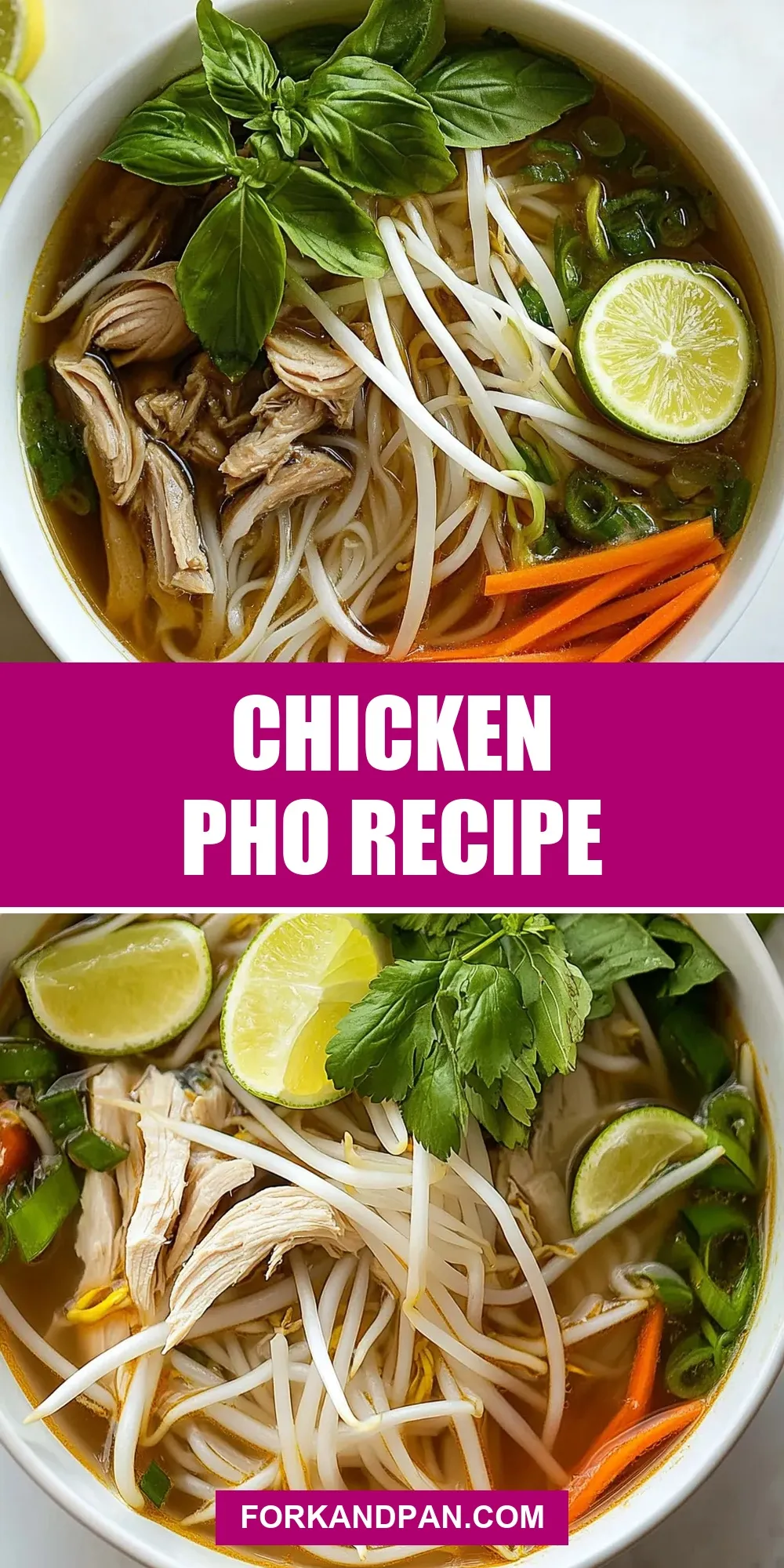 Easy Chicken Pho Recipe