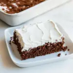 Homemade AMAZING Texas Sheet Cake photo