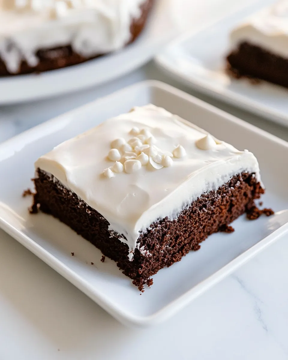 Delicious AMAZING Texas Sheet Cake shot