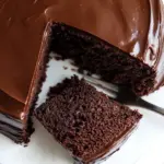 Homemade Best Fudgy Chocolate Cake photo