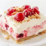 Homemade Cherry Cheesecake Lush photo