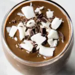 Homemade Chocolate Coconut Smoothie photo