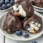 Homemade Chocolate Covered Yogurt Bites with Blueberries & Almonds photo