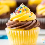 Homemade Classic Yellow Cupcakes with Chocolate Frosting photo