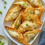 Homemade Crispy Fried Wonton Recipe photo