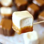 Homemade Dark Chocolate Salted Caramel Dipped Marshmallows photo