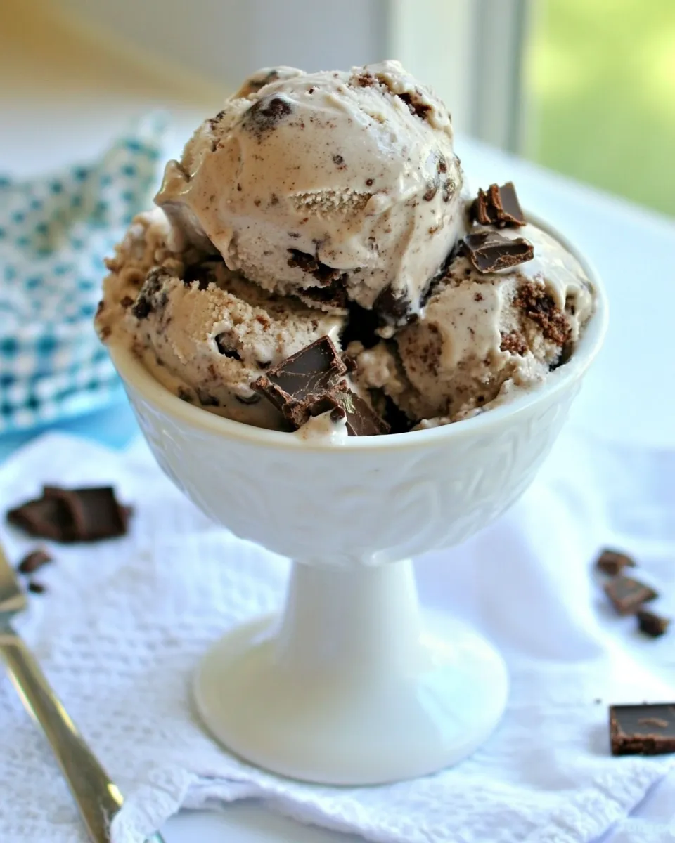 Easy Fudge Brownie Ice Cream no machine shot