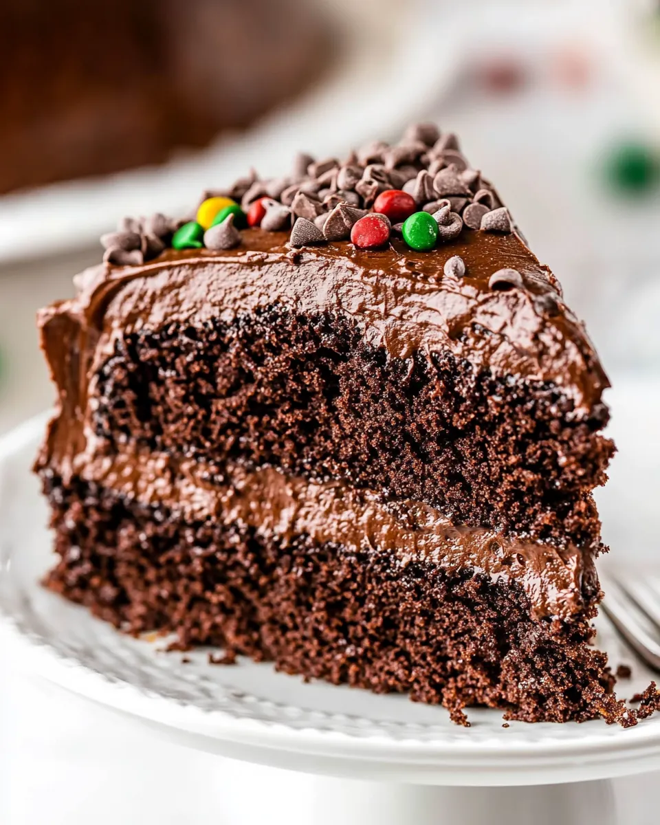 Tasty Homemade Chocolate Cake Recipe shot