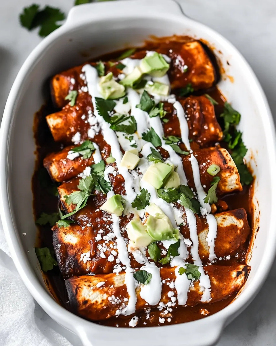 Classic Mole Enchiladas dish photo