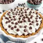 Homemade No Bake Chocolate Chip Cookie Pudding Pie photo