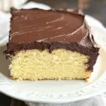 Homemade One Layer Yellow Cake with Chocolate Frosting photo