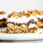 Homemade To Die For Ooey Gooey Smores Bars photo