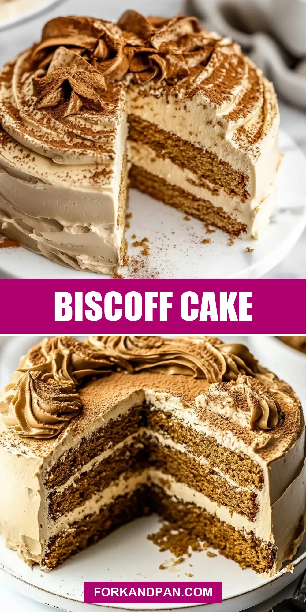 Simple Biscoff Cake