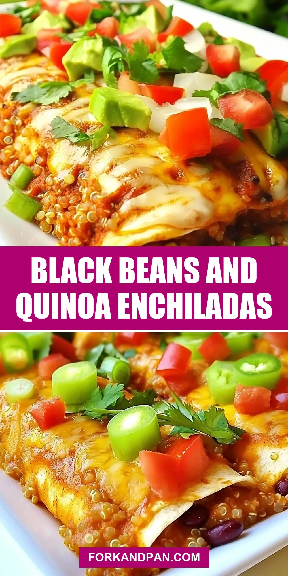 Easy Black Beans And Quinoa Enchiladas Recipe