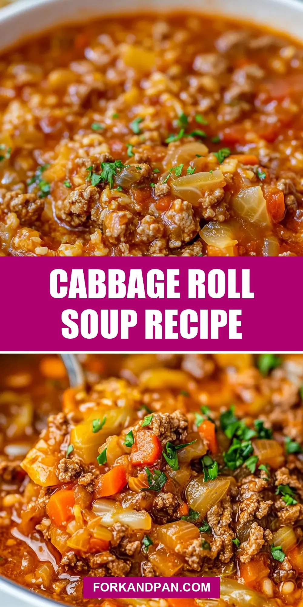 Cabbage Roll Soup Recipe