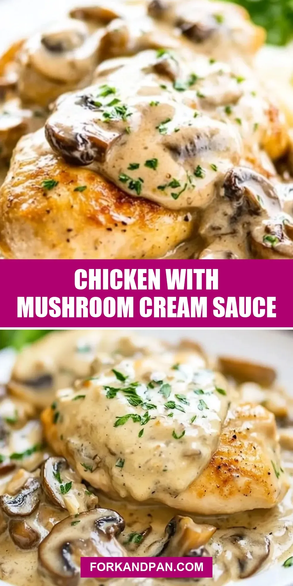 Chicken With Mushroom Cream Sauce Recipe