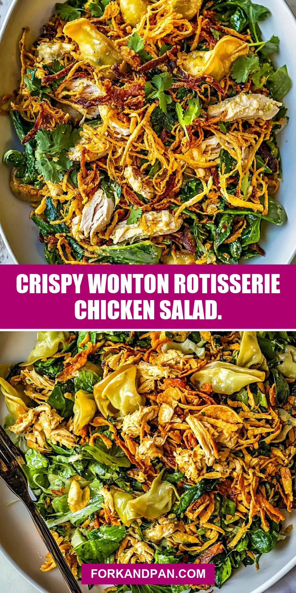 Delicious Crispy Wonton Rotisserie Chicken Salad.