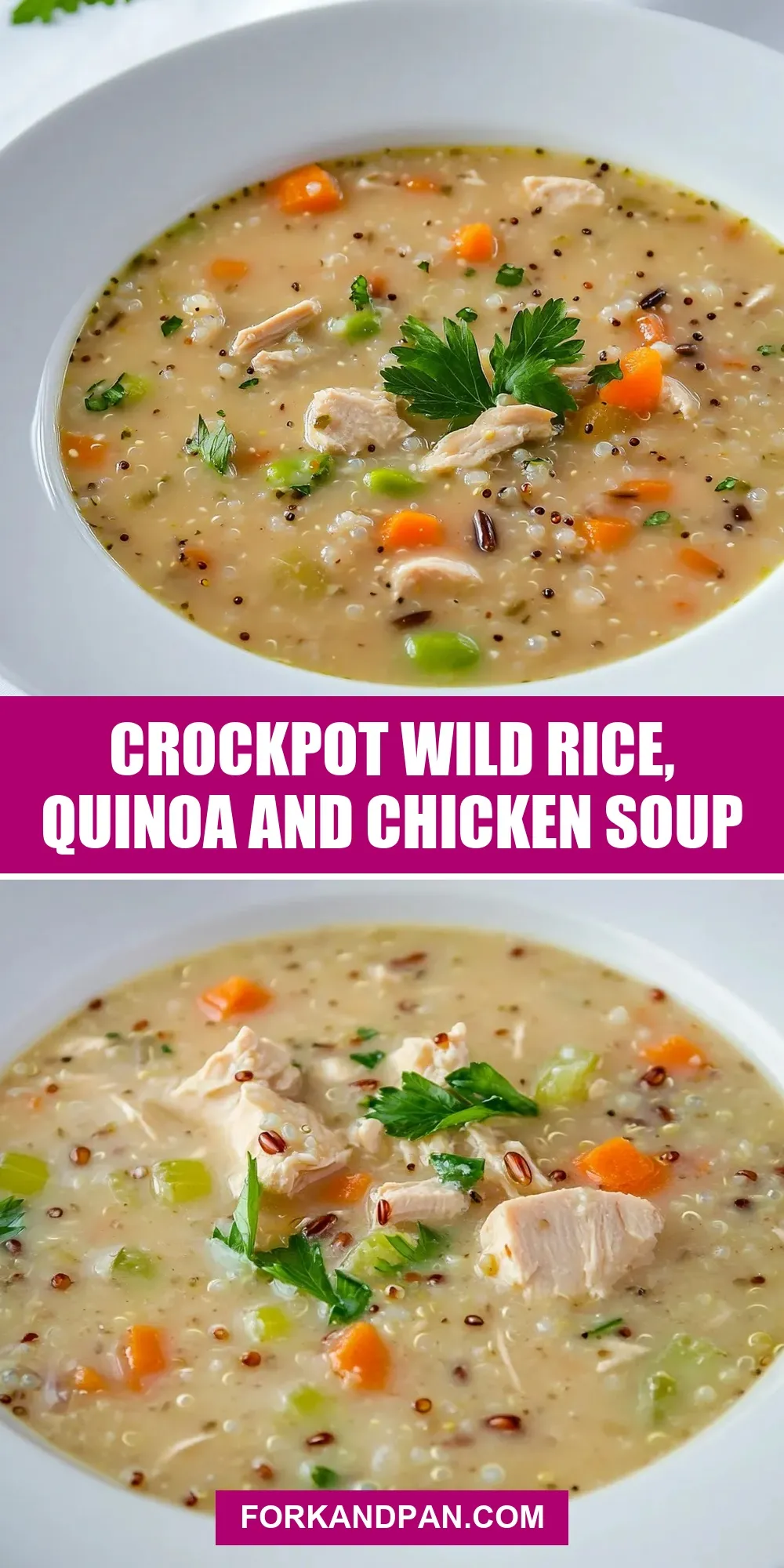 Easy Crockpot Wild Rice, Quinoa And Chicken Soup Recipe