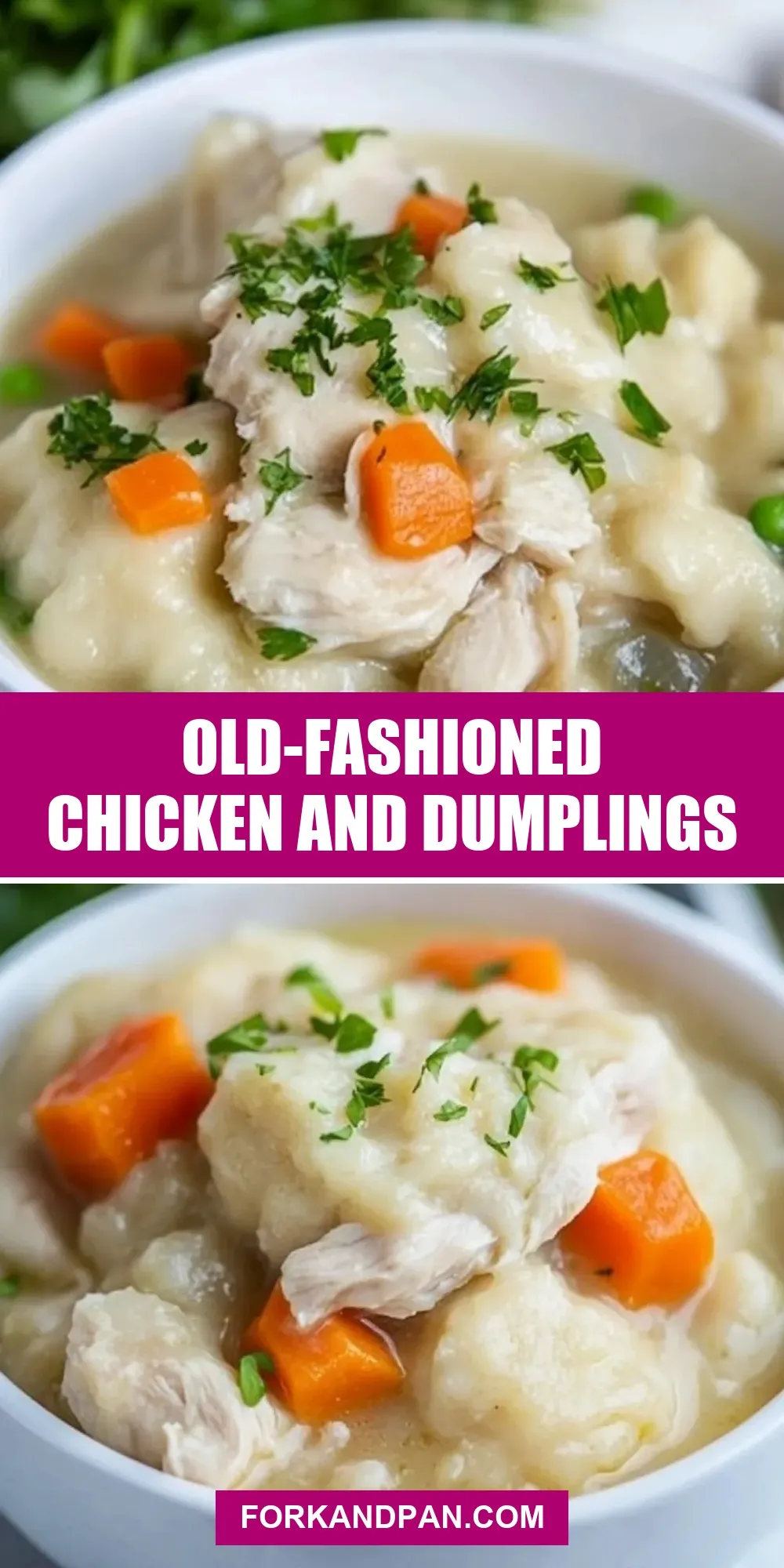 The Best Old-Fashioned Chicken And Dumplings Ever
