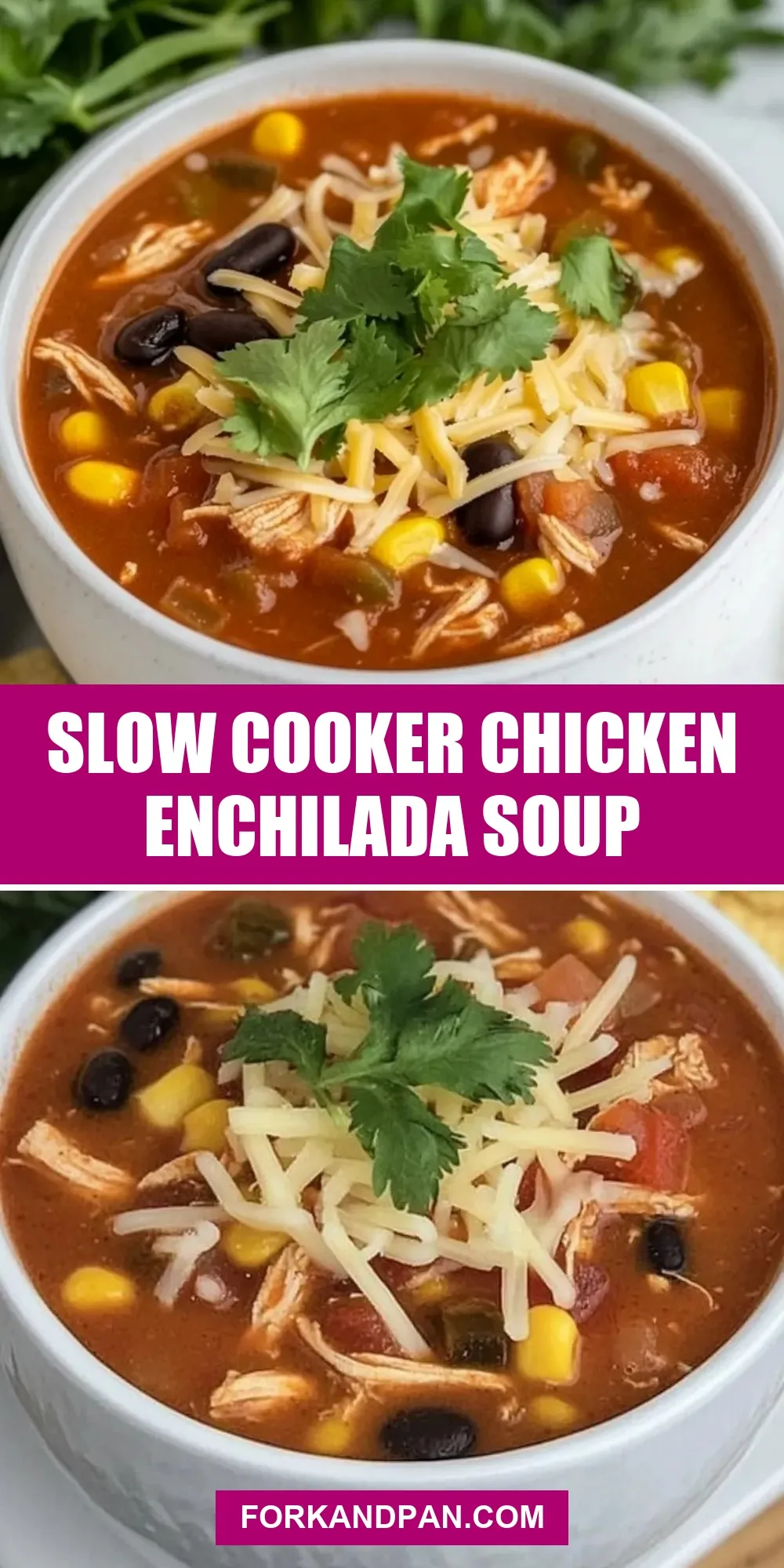 Easy Slow Cooker Chicken Enchilada Soup Recipe