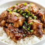 Homemade Filipino Chicken Adobo photo