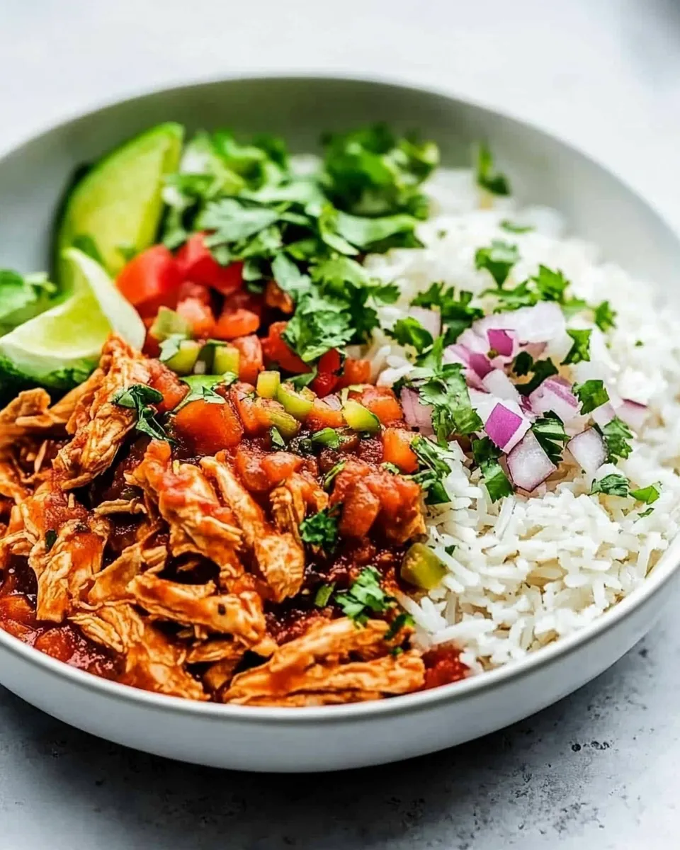 Homemade Instant Pot Salsa Chicken photo