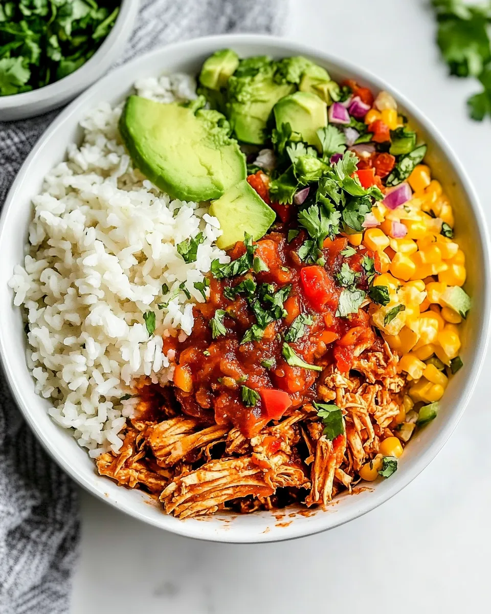 Delicious Instant Pot Salsa Chicken food shot