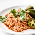 Homemade Shredded Salsa Chicken Recipe photo