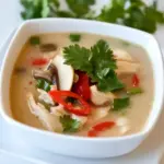 Homemade Thai Hot and Sour Chicken Soup photo
