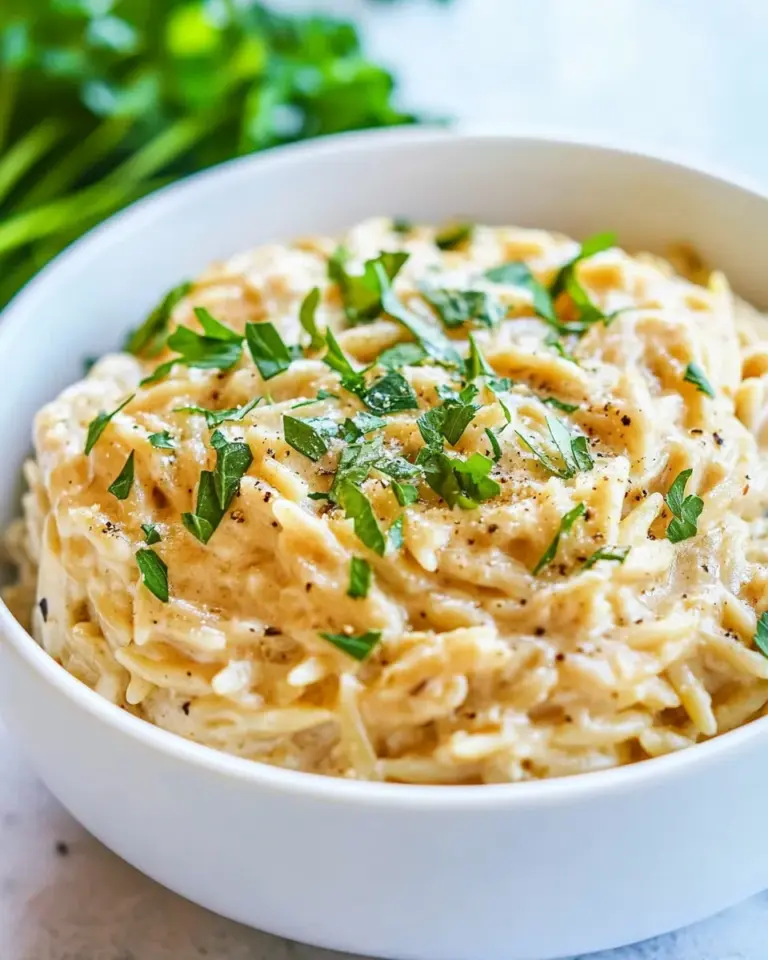 homemade 15 Minute Creamy Garlic Parmesan Orzo photo