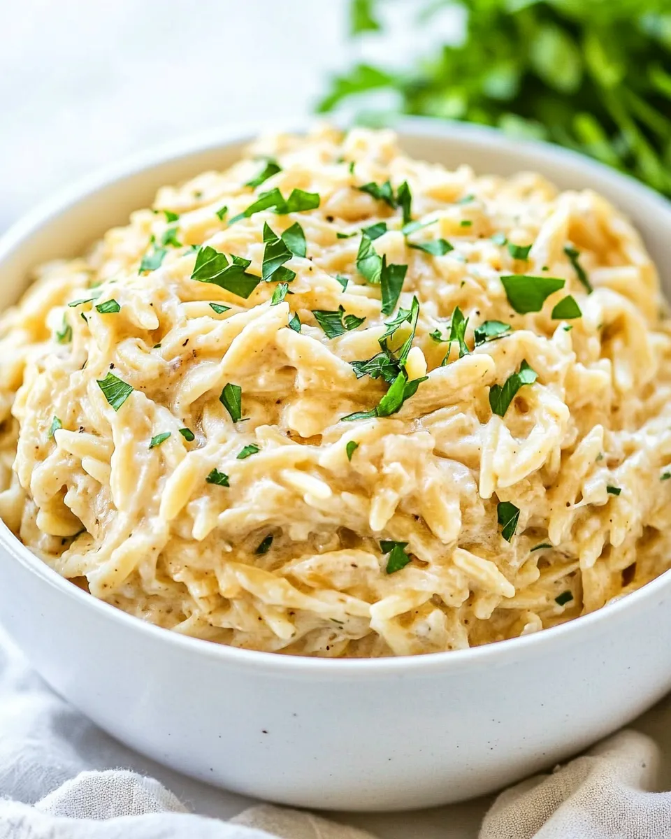 classic 15 Minute Creamy Garlic Parmesan Orzo image
