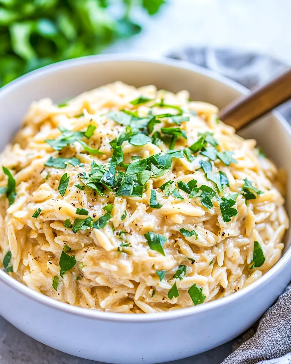 easy 15 Minute Creamy Garlic Parmesan Orzo picture