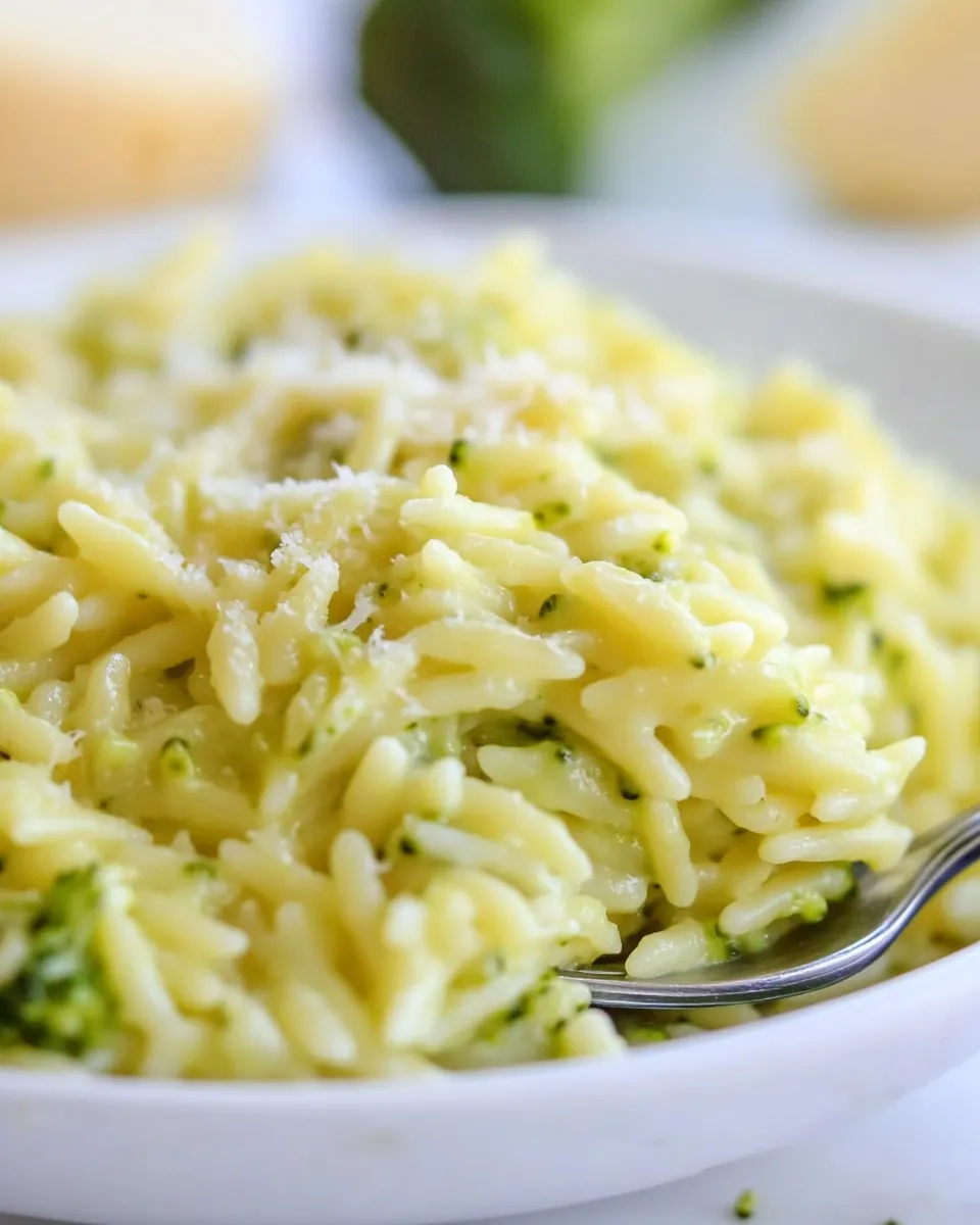 Delicious Creamy Broccoli Orzo dish photo